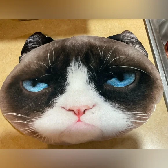 Jakks: Grumpy Cat  about 18 “ inches wide  n 13 “ inches tall decorative pillow - Picture 2 of 6